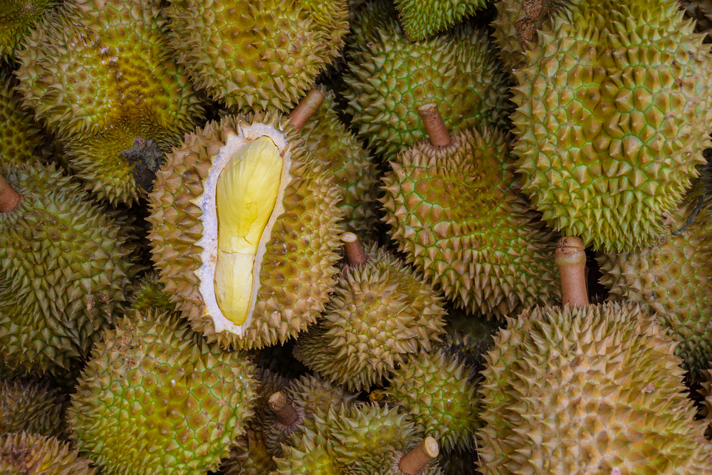 shutterstock_207963154